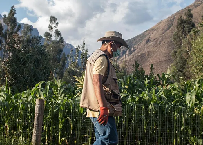 Allin Illary Eco Urubamba