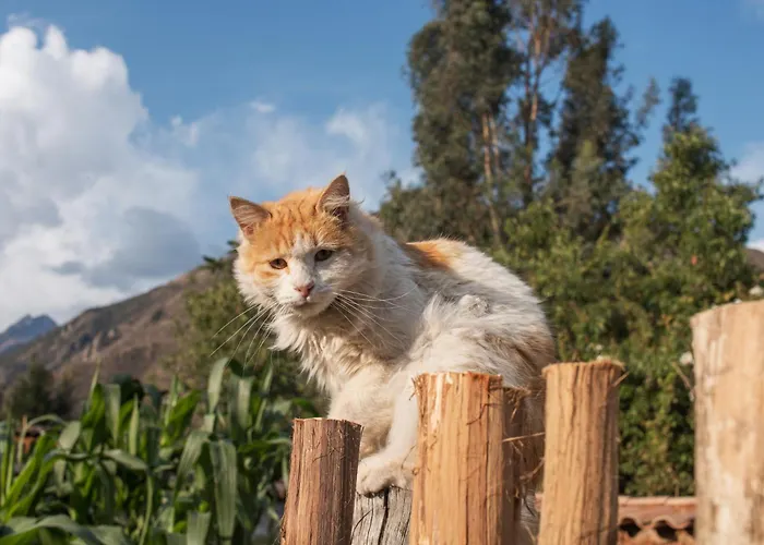 Hotel Allin Illary Eco Urubamba